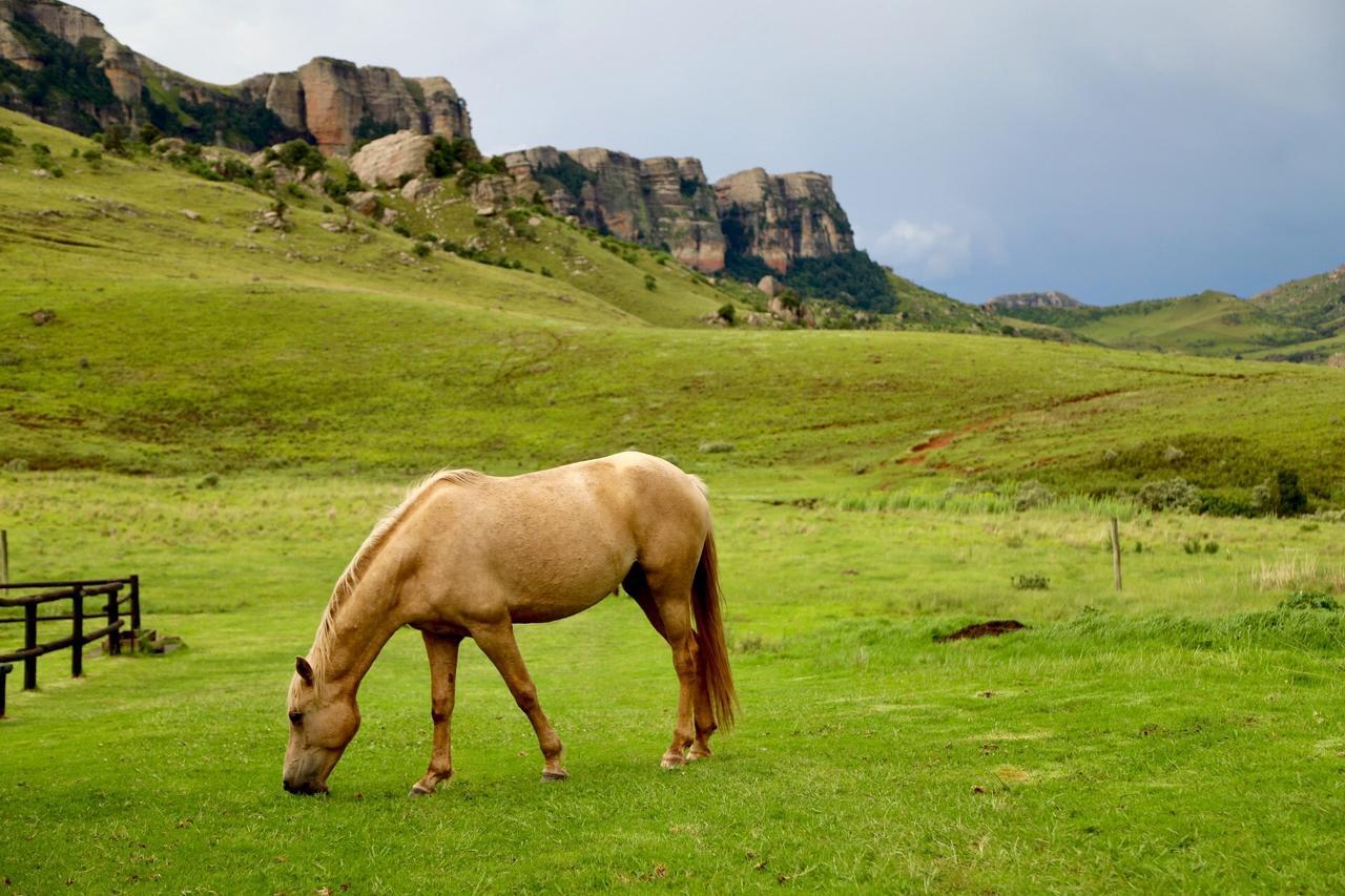 Greenfire Drakensberg Lodge Bonjaneni Kültér fotó