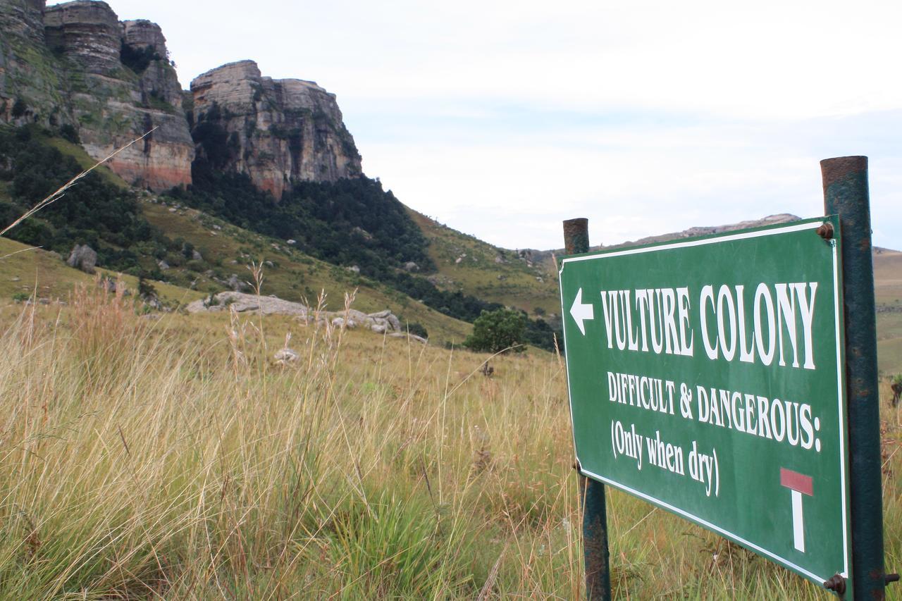 Greenfire Drakensberg Lodge Bonjaneni Kültér fotó